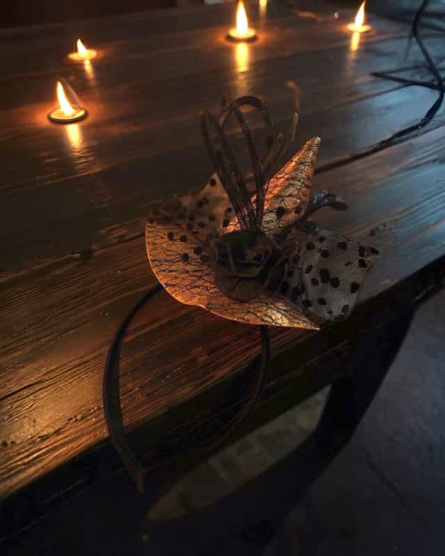 Cadılar Bayramı Bal Kabağı Taç