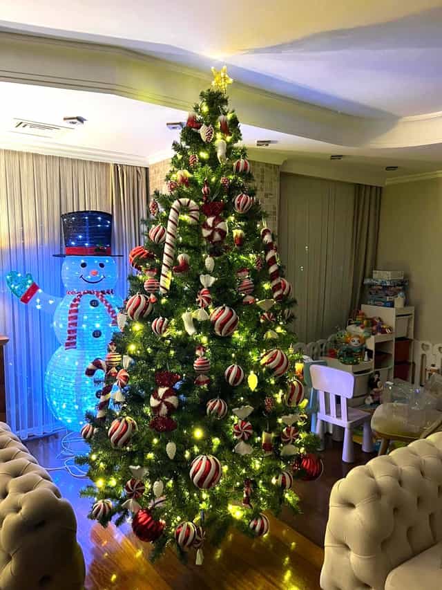 250 CM Yılbaşı Çam Ağacı 1620 Yoğun dallı