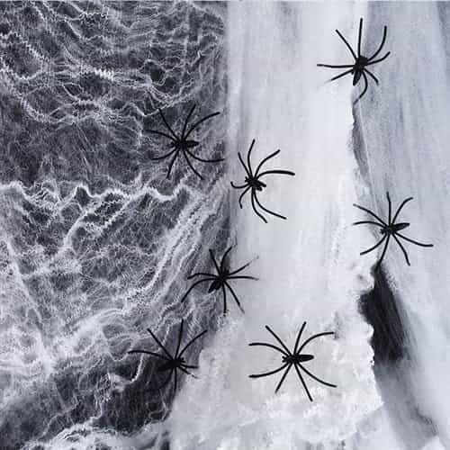 Cadılar Bayramı Örümcekli Beyaz Ağ